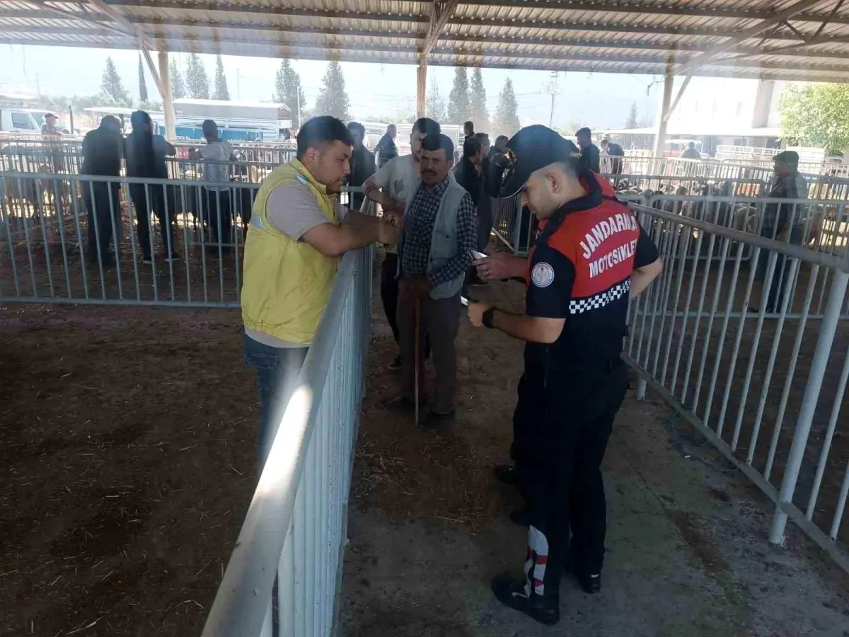 aydinda-kurban-bayrami-oncesi-hayvan-pazarinda-guvenlik-kontrolleri-POxUHlDN.jpg