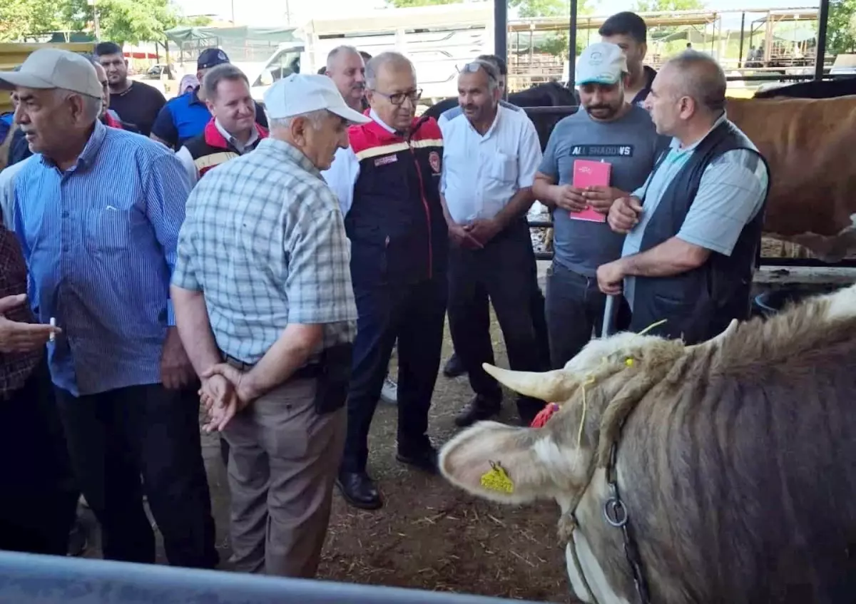 aydinda-kurban-bayrami-oncesi-kontroller-artirildi-9KktdMZy.jpg