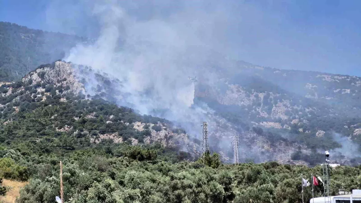 bodrumda-yangin-4-hektar-alan-ziyan-gordu-HlQZrEeu.jpg