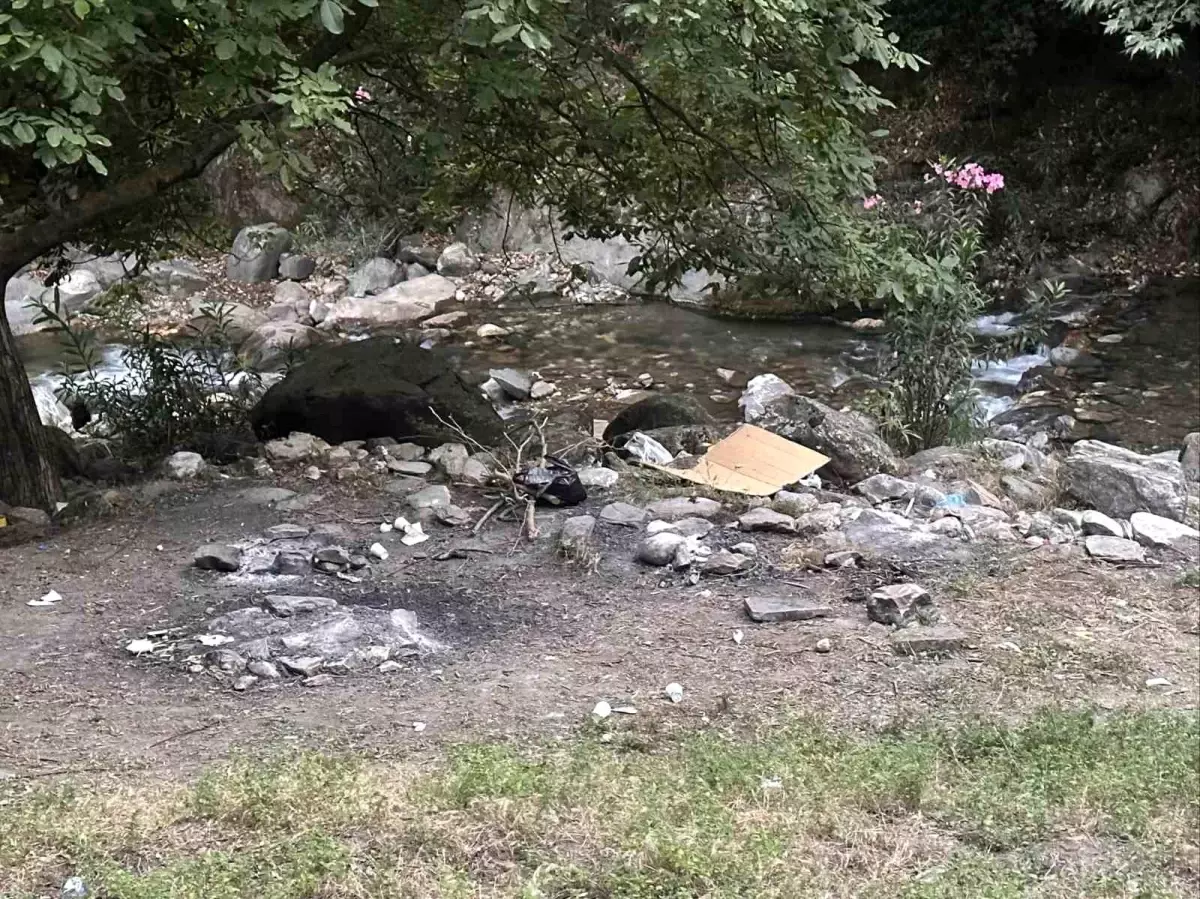 orman-yasagini-ihlal-eden-3-sahsa-cezai-surec-gd98PPiv.jpg