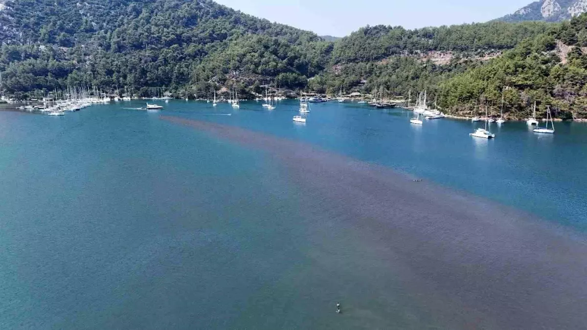 kizkumu-plaji-yerli-ve-yabanci-turistlerin-gozdesi-eJcuCVEl.jpg