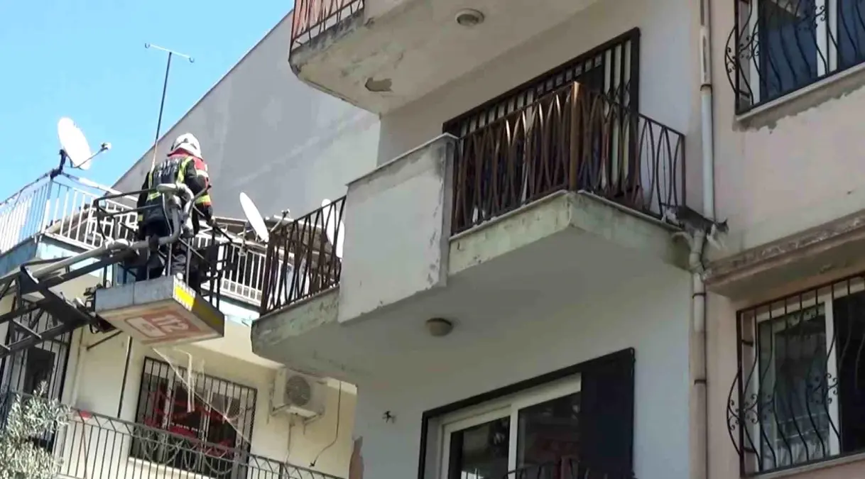 aydinda-mahsur-kalan-kedi-itfaiye-takimlarinin-gelmesini-beklemeden-kacti-OgFZ5Drz.jpg