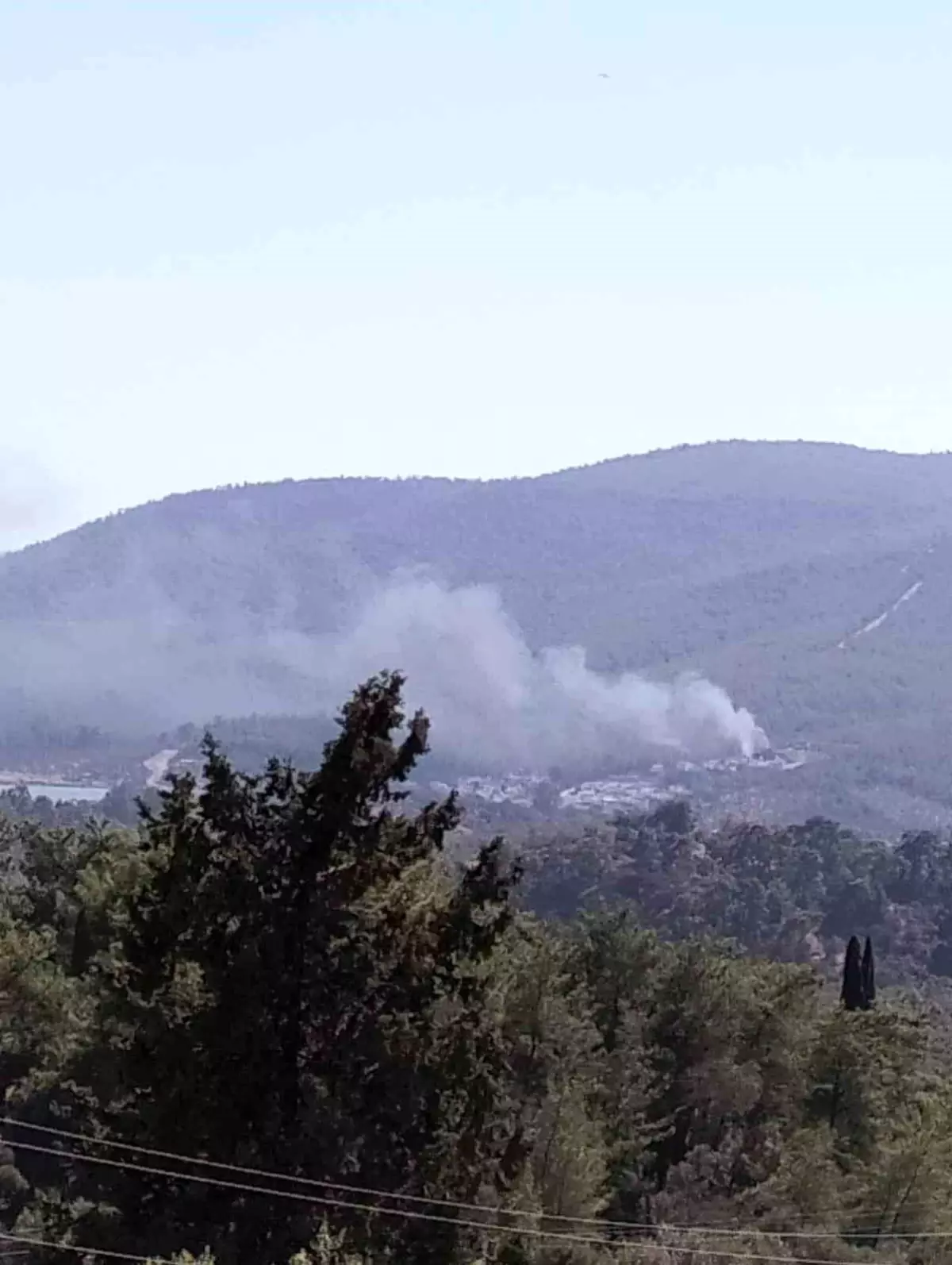 milasta-ormanlik-alanda-yangin-cikti-denetim-altina-alindi-8K7tGWpG.jpg