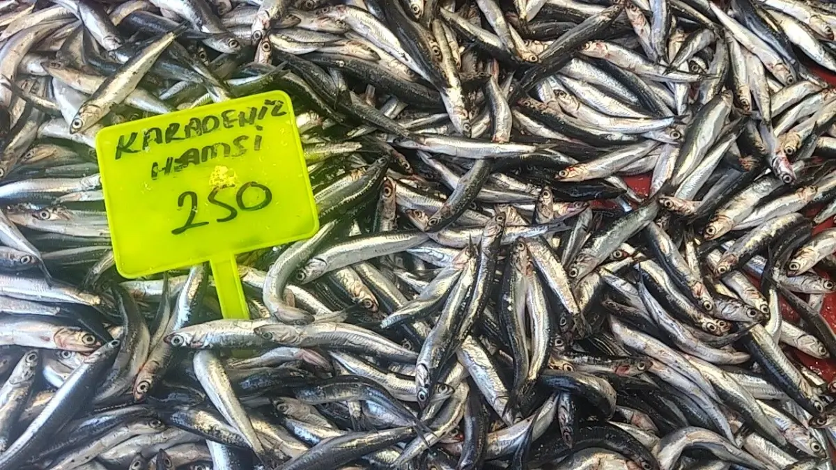 muglada-hamsi-donemi-acildi-birinci-hamsiler-250-tlden-satista-asZuz9ZG.jpg